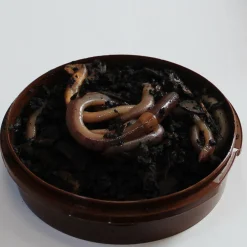 New Rod Kastemato Nightcrawlers daggmask yömato 10kpl