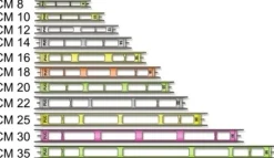 Sale Stonfo Onkipohja 9516N pituus 16cm leveys 12mm