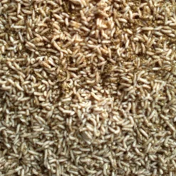 Rod Pinkietoukka valkoinen puoli litraa